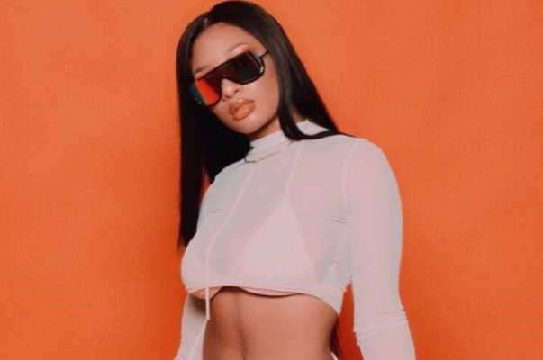 Megan Thee Stallion Height, Weight, Bio, Age, Body measurement, Net Worth and Facts